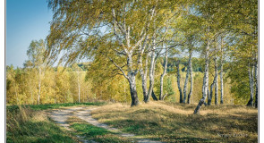 Дорога Домой (г. Владимир)