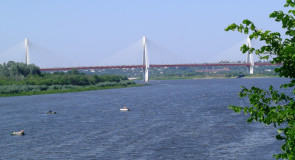 Летний день на Оке