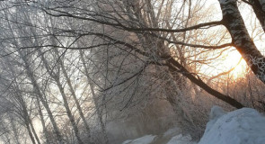 Муромский район. Февраль.