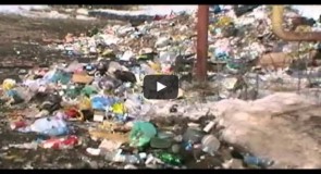 Серия «Ужасы нашего городка»: Наш Кольчугино