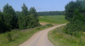 Окрестности бывшего рыбхоза поселка Ворша, Собинский район