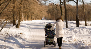 Прогулка в парке «Дружба»