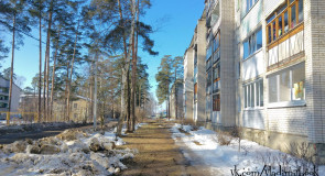 Солнце нынче редкое явление. Мужчин с наступающим, всем — хорошего настроения!