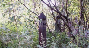 Столбы-указатели в лесу (Квартальные столбы)