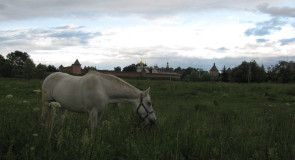 Суздальская лошадка