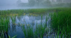 Туманный рассвет на Нерли, май 2015