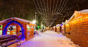 Февральским вечером в парке Липки