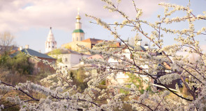Белое кружево цветущих садов во Владимире
