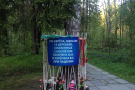 Береза на месте гибели @ Памятник Гагарину и Серёгину