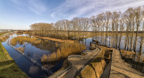 Боголюбовский луг (апрель 2016)