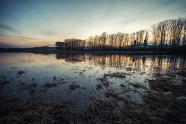 Боголюбовский луг, середина апреля 2016