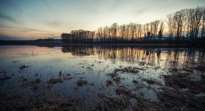 Боголюбовский луг, середина апреля 2016