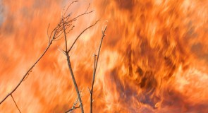 Весенний пал