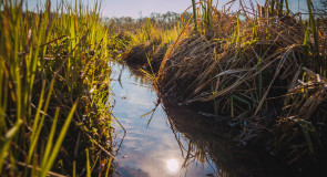 Весенняя прогулка по Мурому и окрестностям