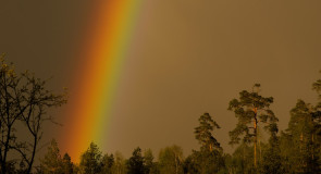 Вечерняя радуга в г. Гусь-Хрустальный