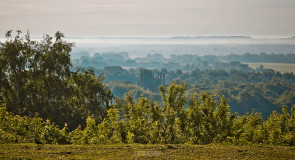 Владимирская панорама Владимира Чучадеева