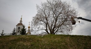 Вознесенка, пасхальное дерево (г. Владимир)