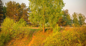 Закат в Мосино (Суздальский район)