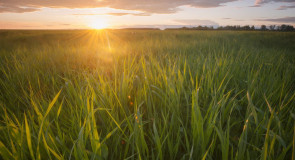 Закат в Муроме 📷 Женя Зайцев