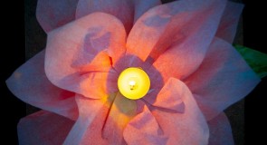 Запуск водных фонариков на Клязьме