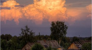 Золотково. Природа.