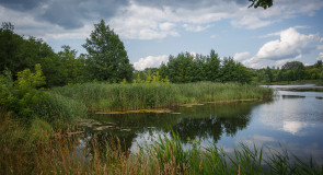 Июльский день 2015 года. Река Колпь, посёлок Красная Горбатка