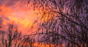 Красивые Владимирские закаты