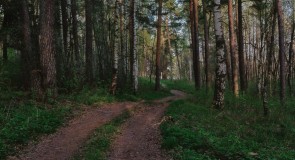 Красная Горбатка, лесная прогулка