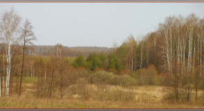 Май 2013г. г.Владимир мик.р-он Аббакумово