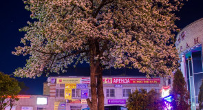 Немножко ночного, тихого, провинциального городка Покров