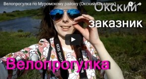 Велопрогулка по Муромскому району (Окский заказник)