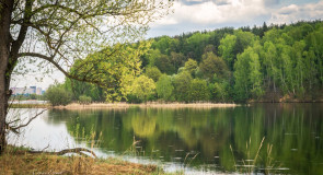 Отличная погода. Отличная природа. Берег Содышки