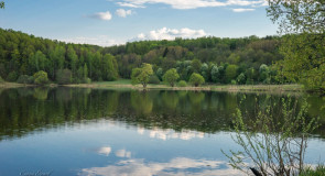 Прекрасное рядом! Берега Содышки