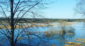 Разлив реки Уводь. Село Малышево Ковровского района