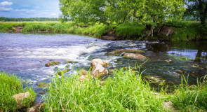 Река Судогда