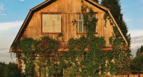 Владимирская обл, Красная Горбатка, Заречье