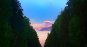 Владимирская обл, Ольгино