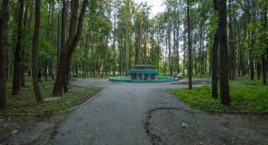 Вопрос восстановления парка на ул. Горького д. 54