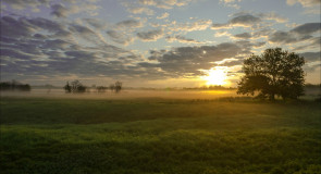 Июньский восход на лугах клязьменской поймы
