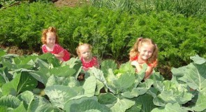 Конкурс «Пою я оду огороду!»