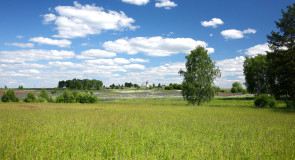 Лето в окрестностях села Великово Ковровского района