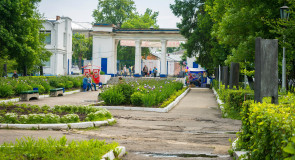 Муром. Летние цветы в Окском парке