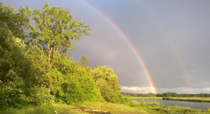 Радуга в загородном парке 12.06.16