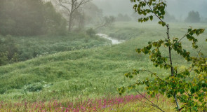 Туманное летнее утро в Александрове