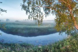 Утро у туманной реки (Александровский район)