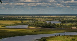 Летние просторы Вязников