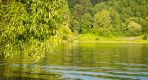 Лето. Жара. Самое время искупаться
