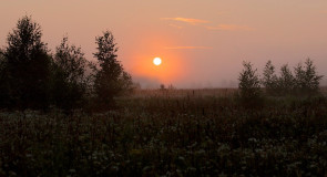 На Финогея молись солнышку, проси Бога об вёдрышке!