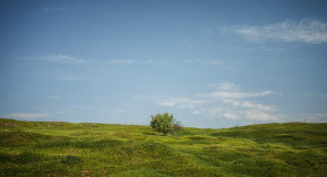 Панфилово для вашего рабочего стола