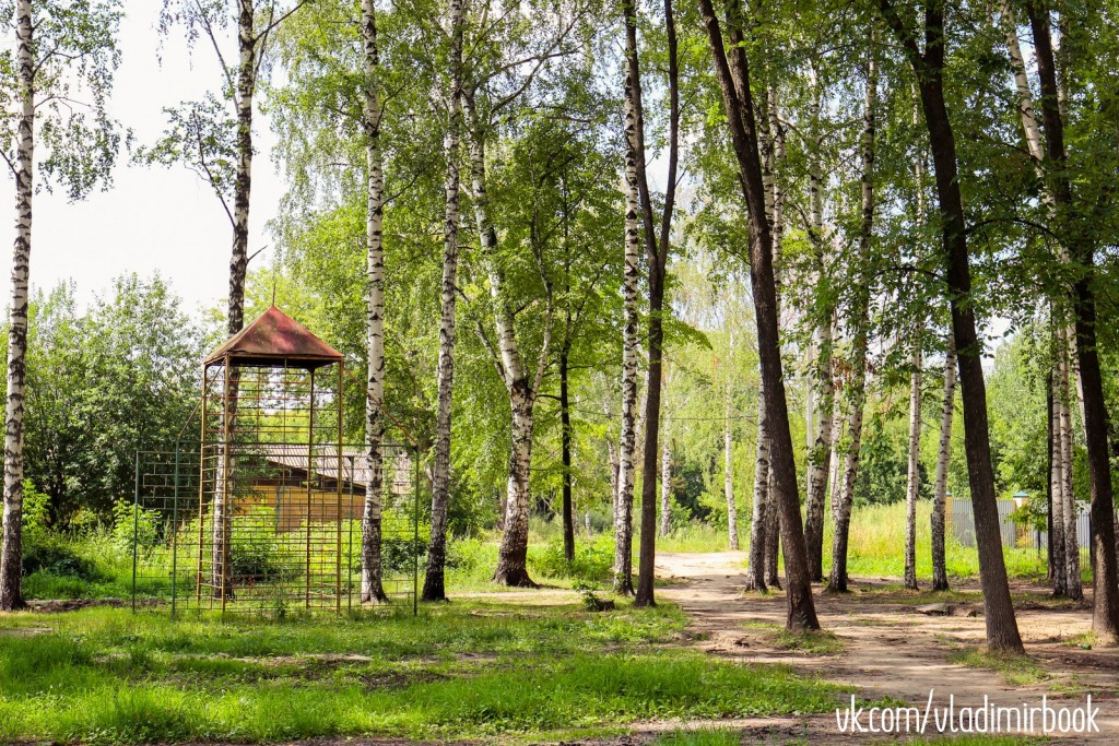 Парки мурома фото. Парк Гагарина Муром. Парк ЗИО Муром. Окский парк Муром. Муром парк Гагарина старый.